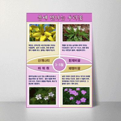 S101.봄에만나는우리꽃