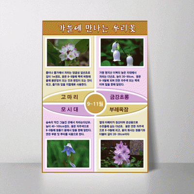 S103.가을에만나는우리꽃