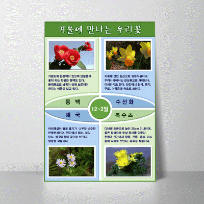 S104.겨울에만나는우리꽃