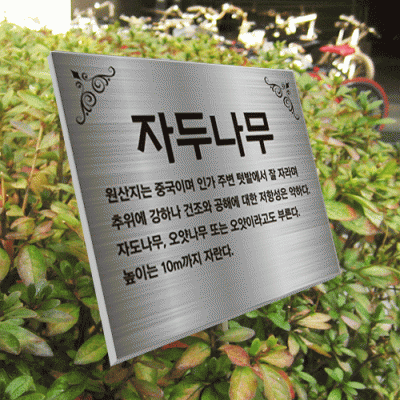 수목-스텐절곡꽂이-ST19