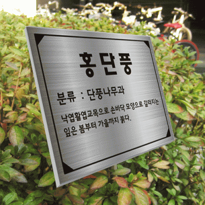 수목-스텐절곡꽂이-ST16