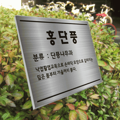 수목-스텐절곡꽂이-ST14
