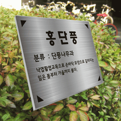 수목-스텐절곡꽂이-ST13