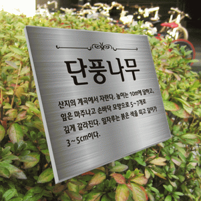수목-스텐절곡꽂이-ST6