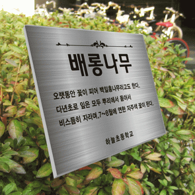 수목-스텐절곡꽂이-ST4