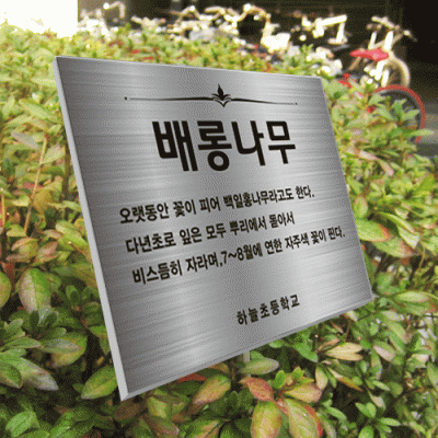 수목-스텐절곡꽂이-ST3