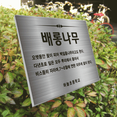 수목-스텐절곡꽂이-ST1
