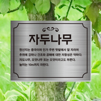 수목-걸이-ST20