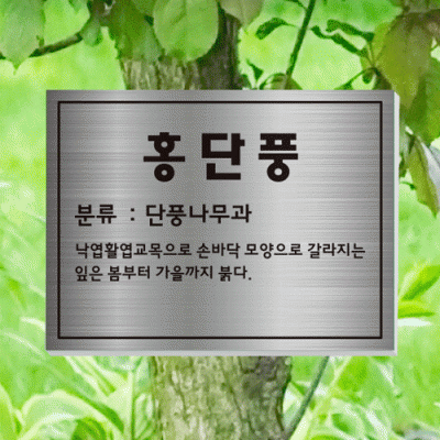 수목-걸이-ST15