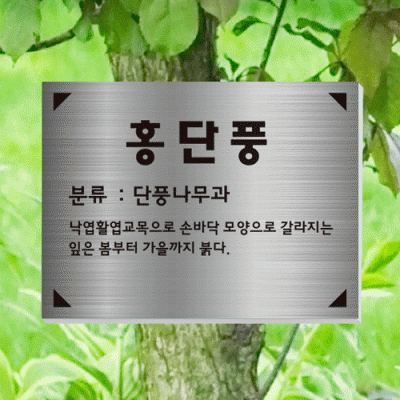 수목-걸이-ST13