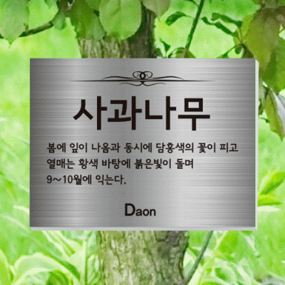 수목-걸이-ST12
