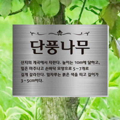 수목-걸이-ST8