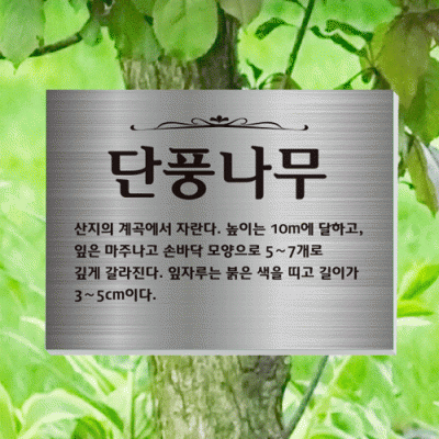 수목-걸이-ST5