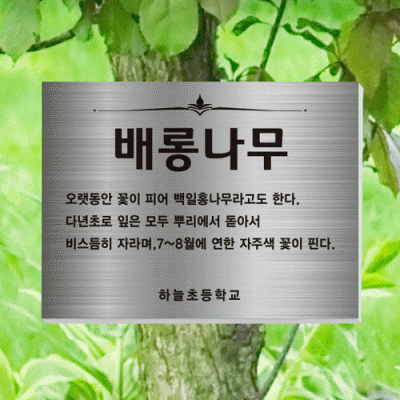 수목-걸이-ST3