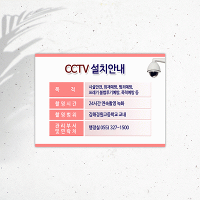 CCTV-4-2