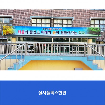 신서초