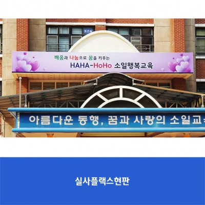 소일초