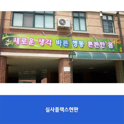 미래초
