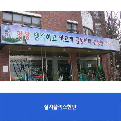 금산초