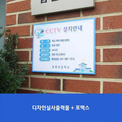유현초