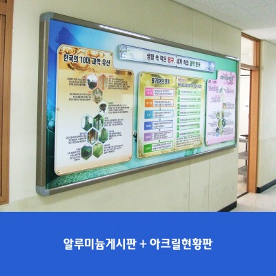 장지초
