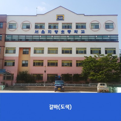 지향초