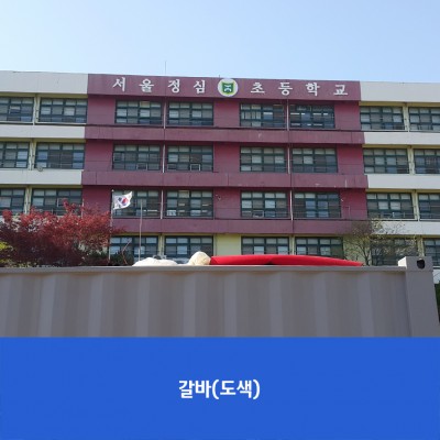 정심초1
