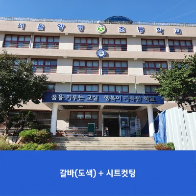 양명초