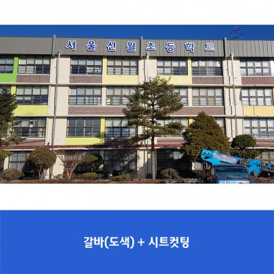 신월초1