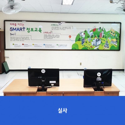 문화초