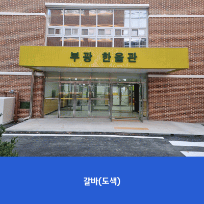 부광초