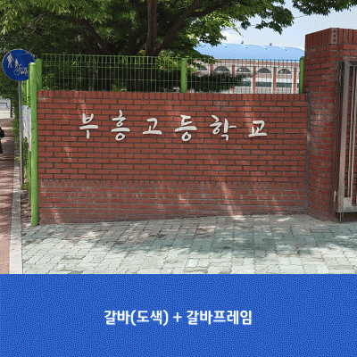 부흥고