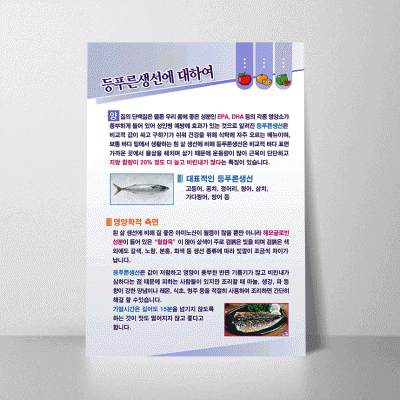 B107.등푸른생선에대하여