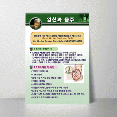 U57.임신과음주