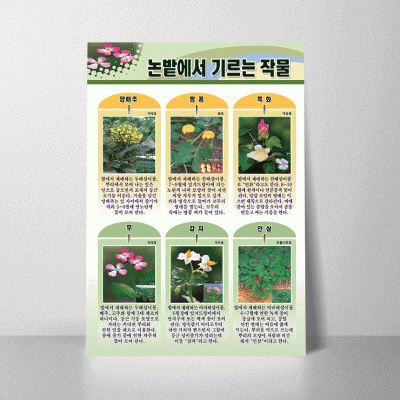 A13.논밭에서기르는작물