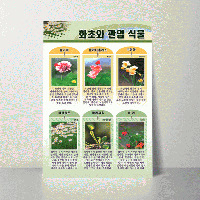 A15.화초와관엽식물