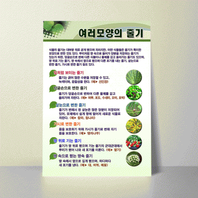 A16.여러모양의줄기