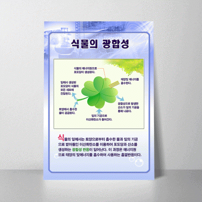 A17.식물의광합성