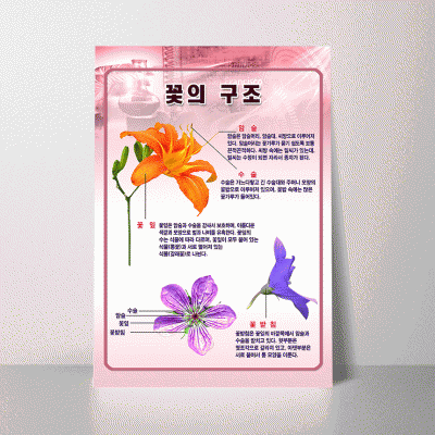 A20.꽃의구조