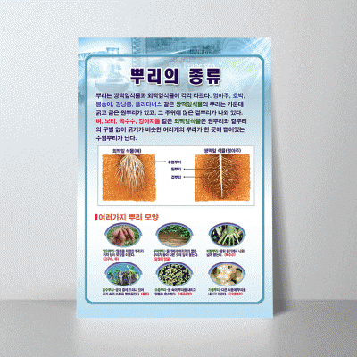 A22.뿌리의종류