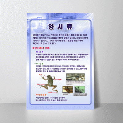 A23.양서류