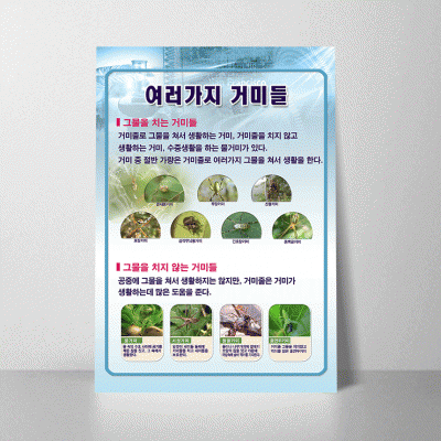 A25.여러가지거미들