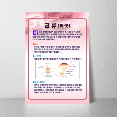 A31.균류(버섯)