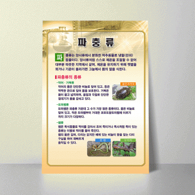 A32.파충류