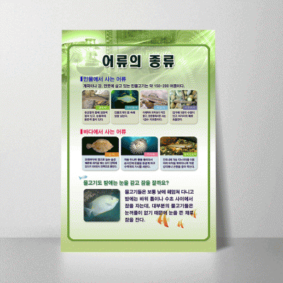 A33.어류의종류