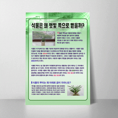 A34.식물은왜햇빛쪽으로뻗을까