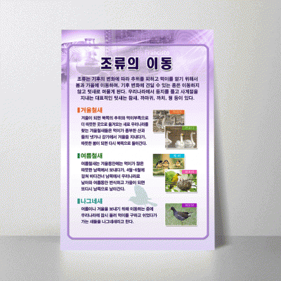 A36.조류의이동