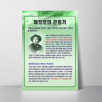 A37.파브르의곤충기