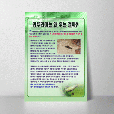 A38.귀뚜라미는왜우는걸까