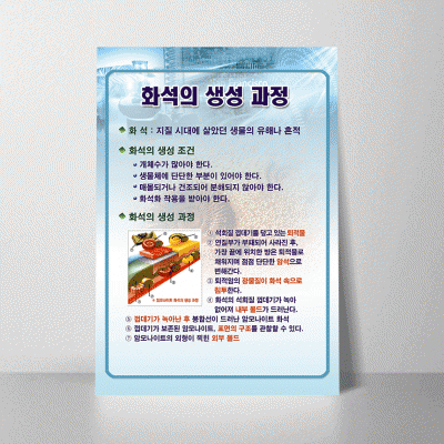 A97.화석의생성과정